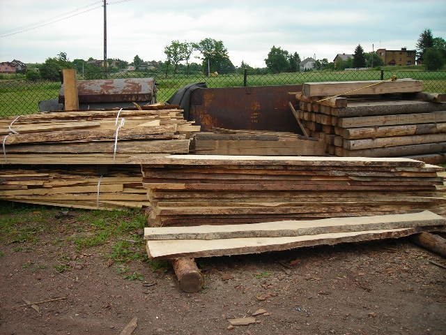 gal/Jesion/DSCN2835.JPG