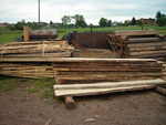 gal/Jesion/_thb_DSCN2835.JPG