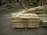 gal/Jesion/_thb_DSCN2836.JPG