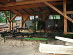 gal/Jesion/_thb_DSCN2843.JPG
