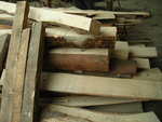 gal/Jesion/_thb_DSCN2848.JPG